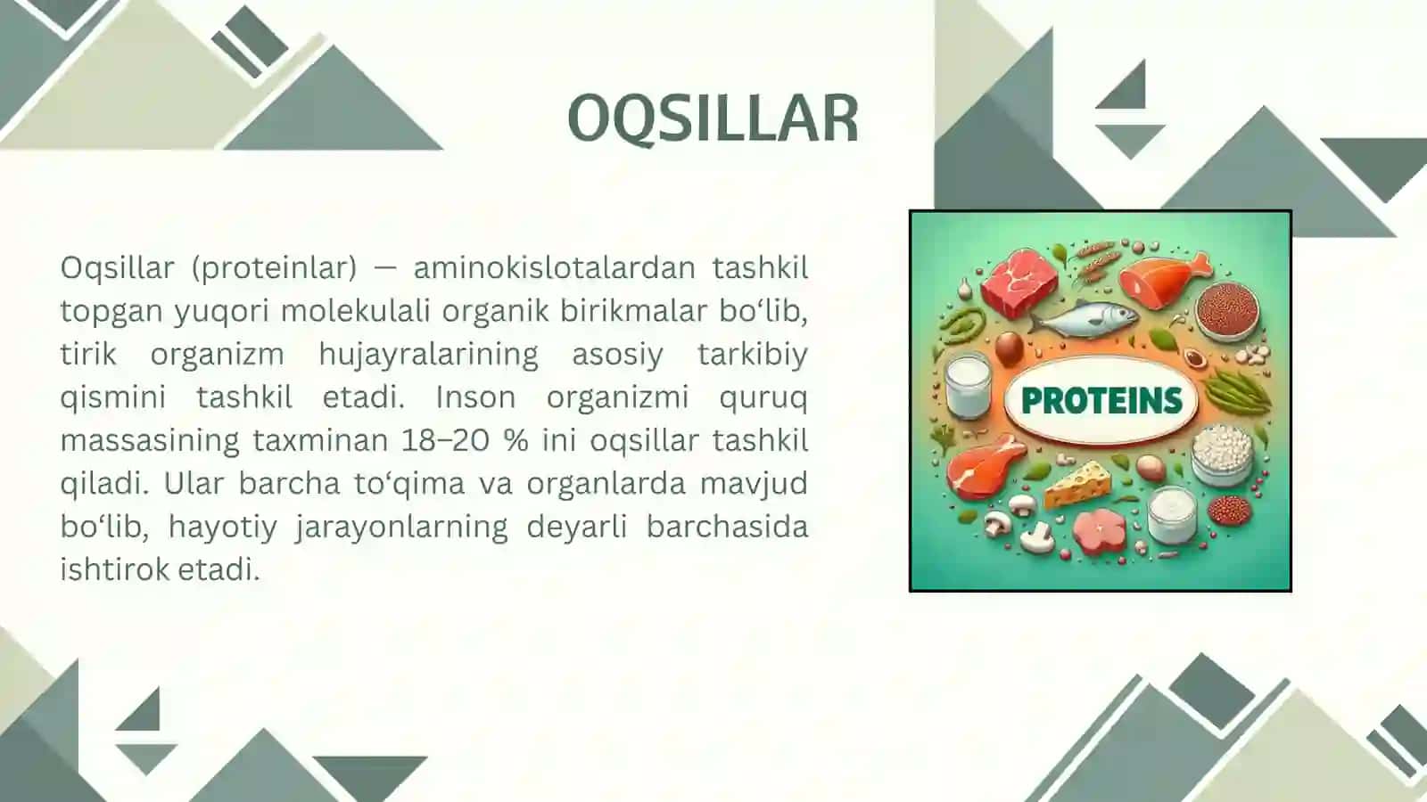 Oqsillarning biologik va oziqaviy ahamiyati 2