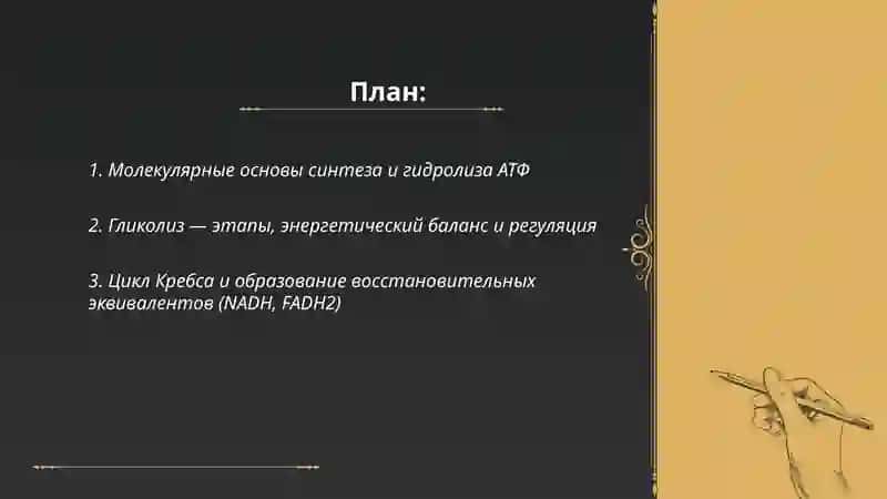 Образование и потребление энергии в процессе метаболизма 2