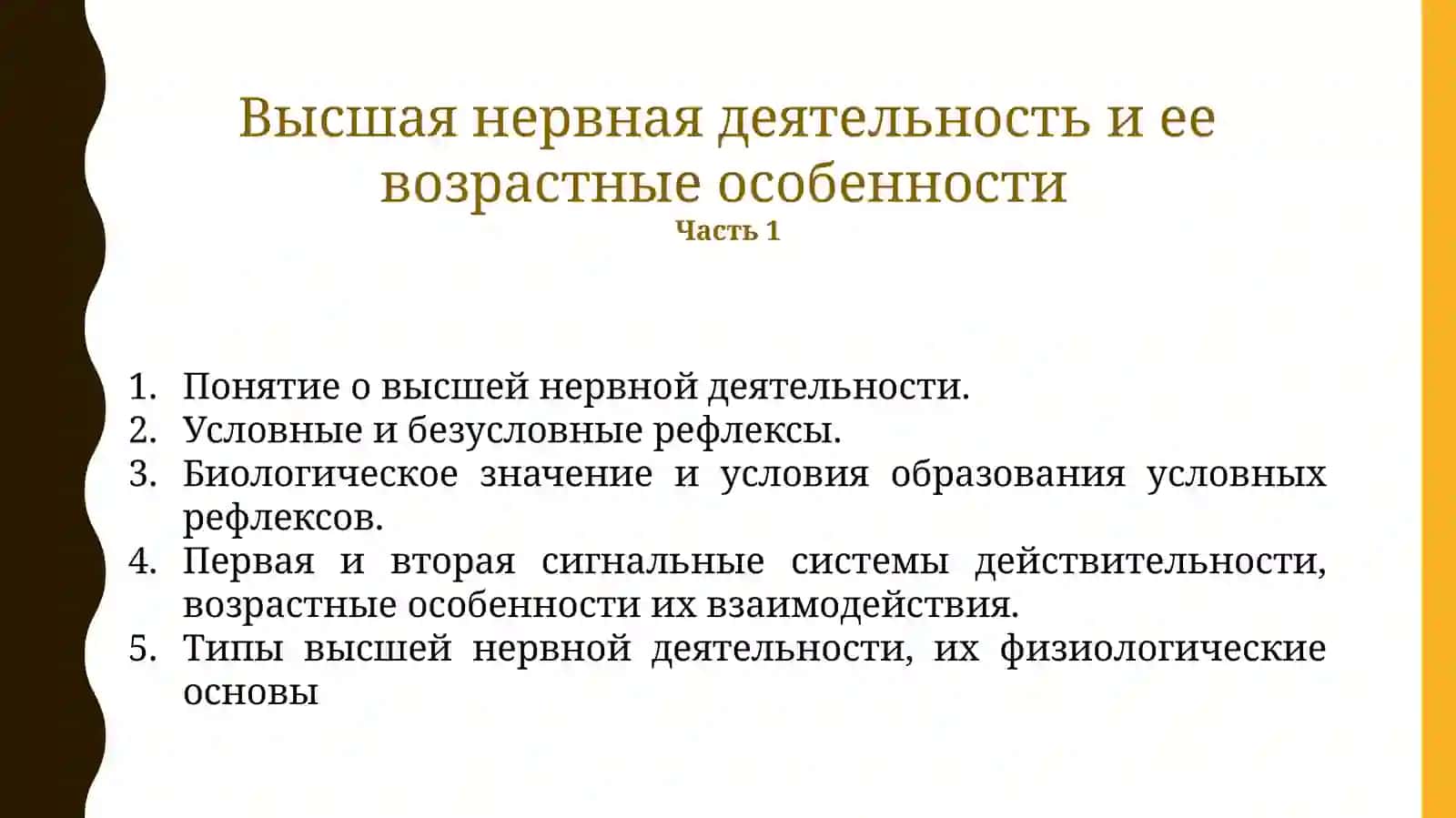 Высшая нервная деятельность и ее возрастные особенности 2
