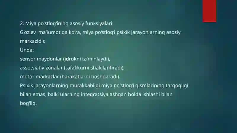 Psixik jarayonlar va miyaning o‘zaro aloqadorligi 2