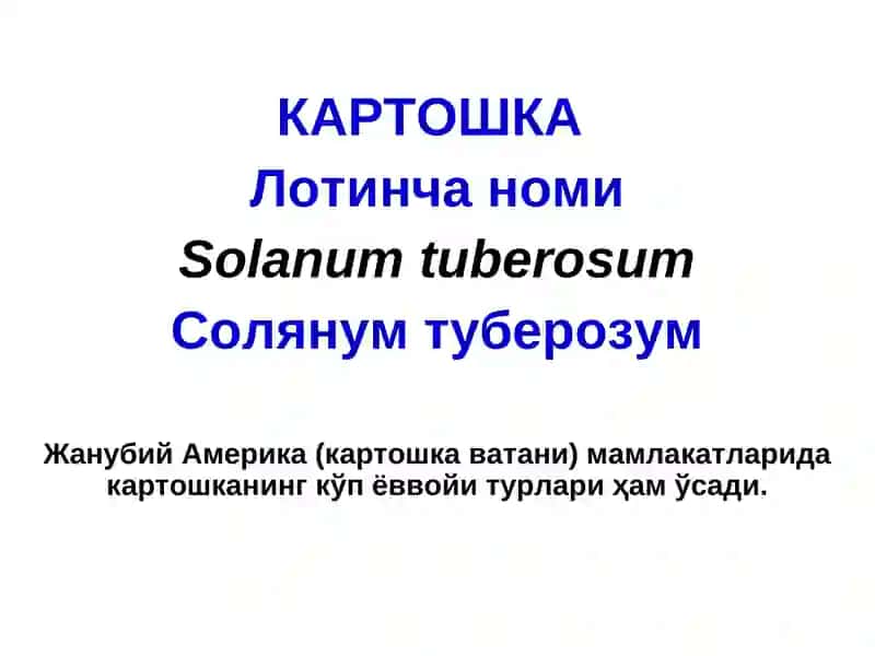 КАРТОШКА КАСАЛЛИКЛАРИ 2
