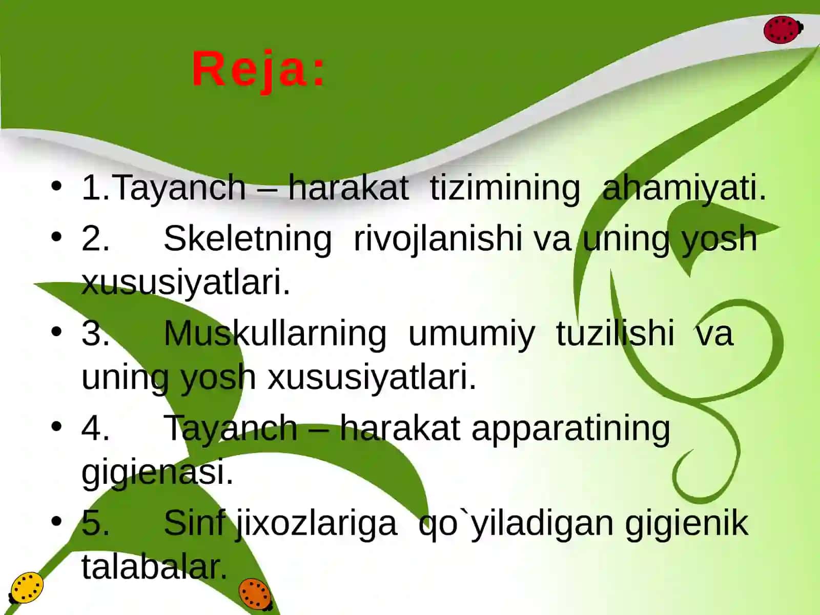 Tayanch harakat apparati 2