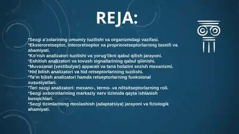 sezgi aʼzolari gistologiyasi 2