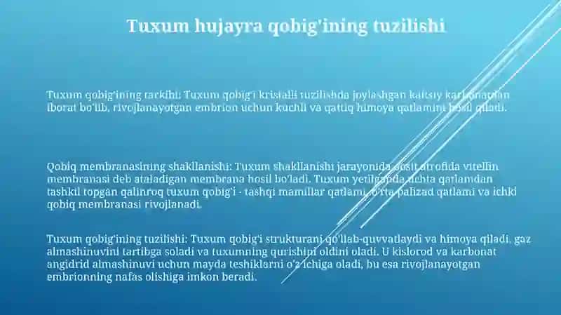 Tuxum Xujayraning Qobiqlari Va Ularni Shakllanishi 2