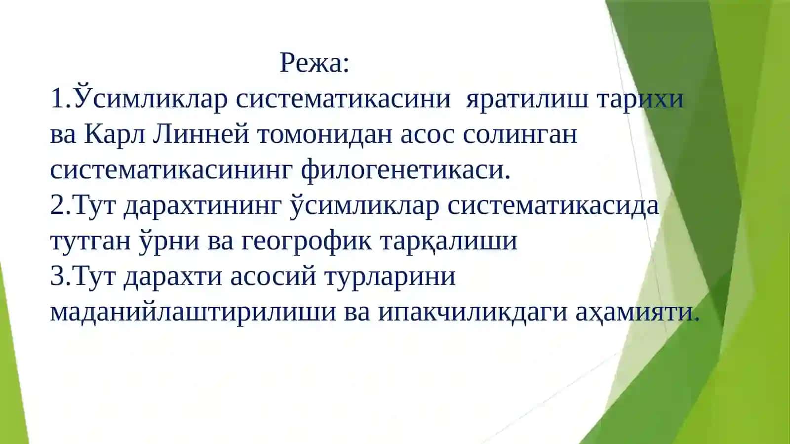 Тут дарахтининг систематикаси,тузилиши ва кўпайтириш усуллари 2