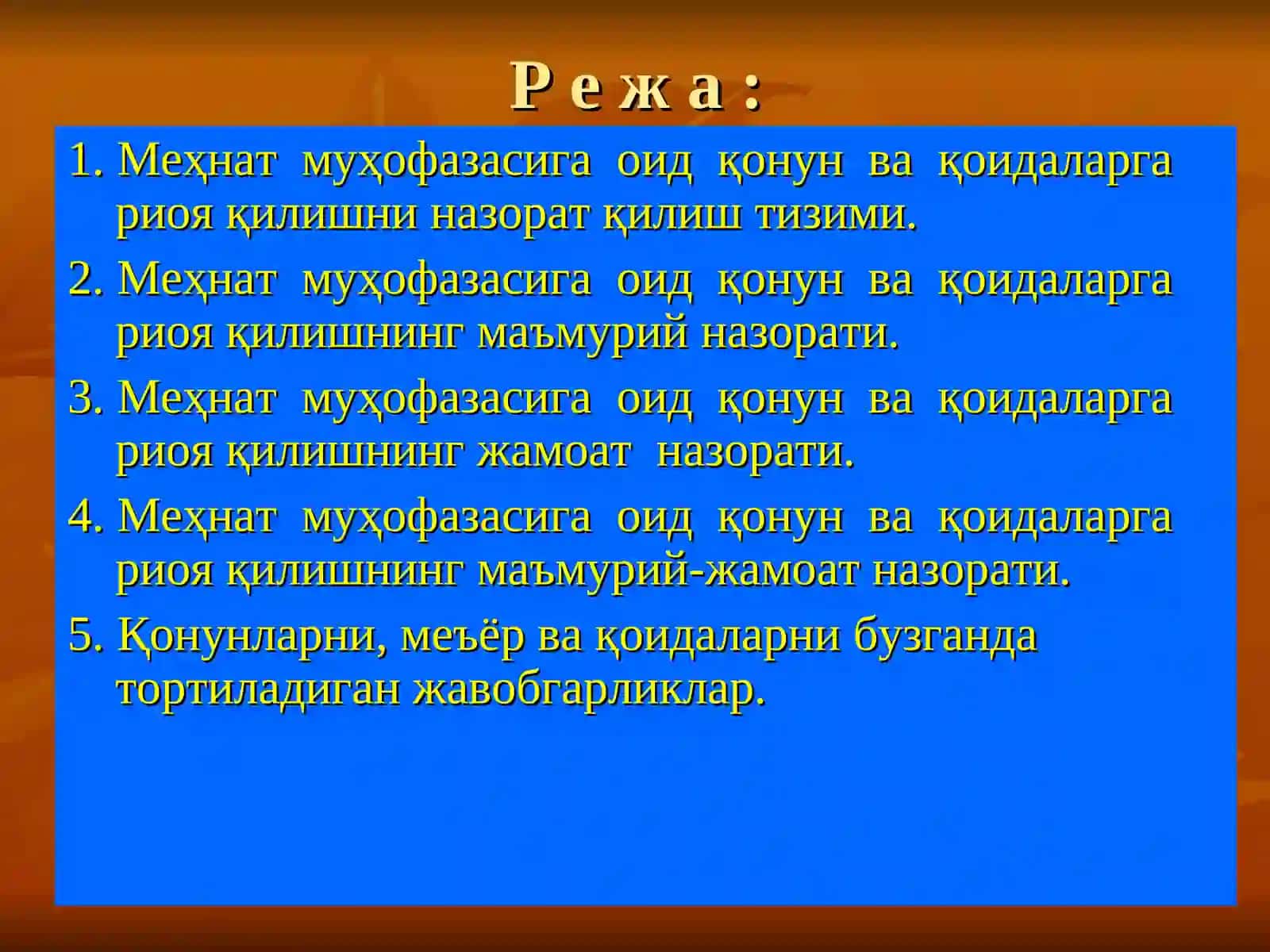МЕҲНАТНИ МУҲОФАЗА ҚИЛИШ ТЎҒРИСИДАГИ ҚОНУНЛАРГА, ҲУҚУҚИЙ-МЕЪЁРИЙ ҲУЖЖАТЛАР ТАЛАБЛАРИГА ВА ҚОИДАЛАРИГА АМАЛ ҚИЛИШ УСТИДАН НАЗОРАТ ТИЗИМИ 2