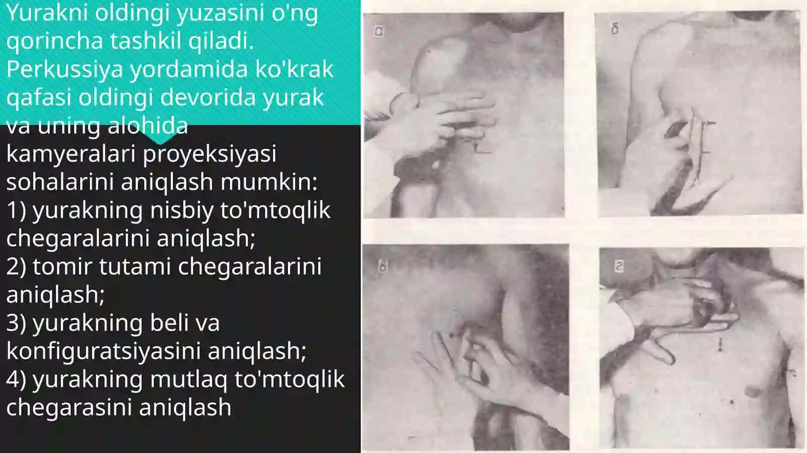 Amaliy ko‘nikmalarni topshirish: yurak perkussiyasi 2