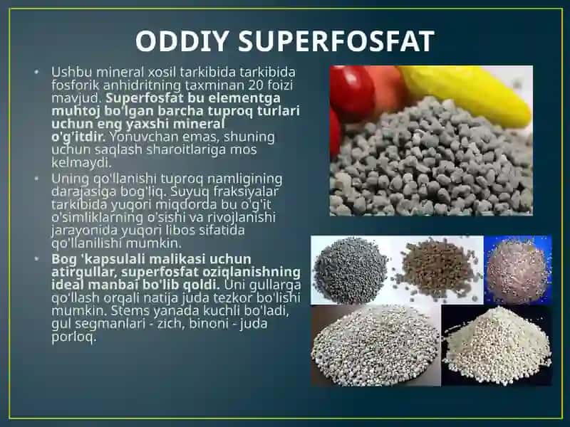 ODDIY SUPERFOSFAT 2