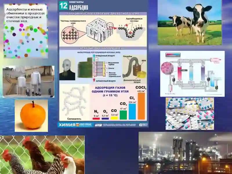 АДСОРБЦИЯ ВА ИОН АЛМАШИНИШ ЖАРАЁНЛАРИ 2