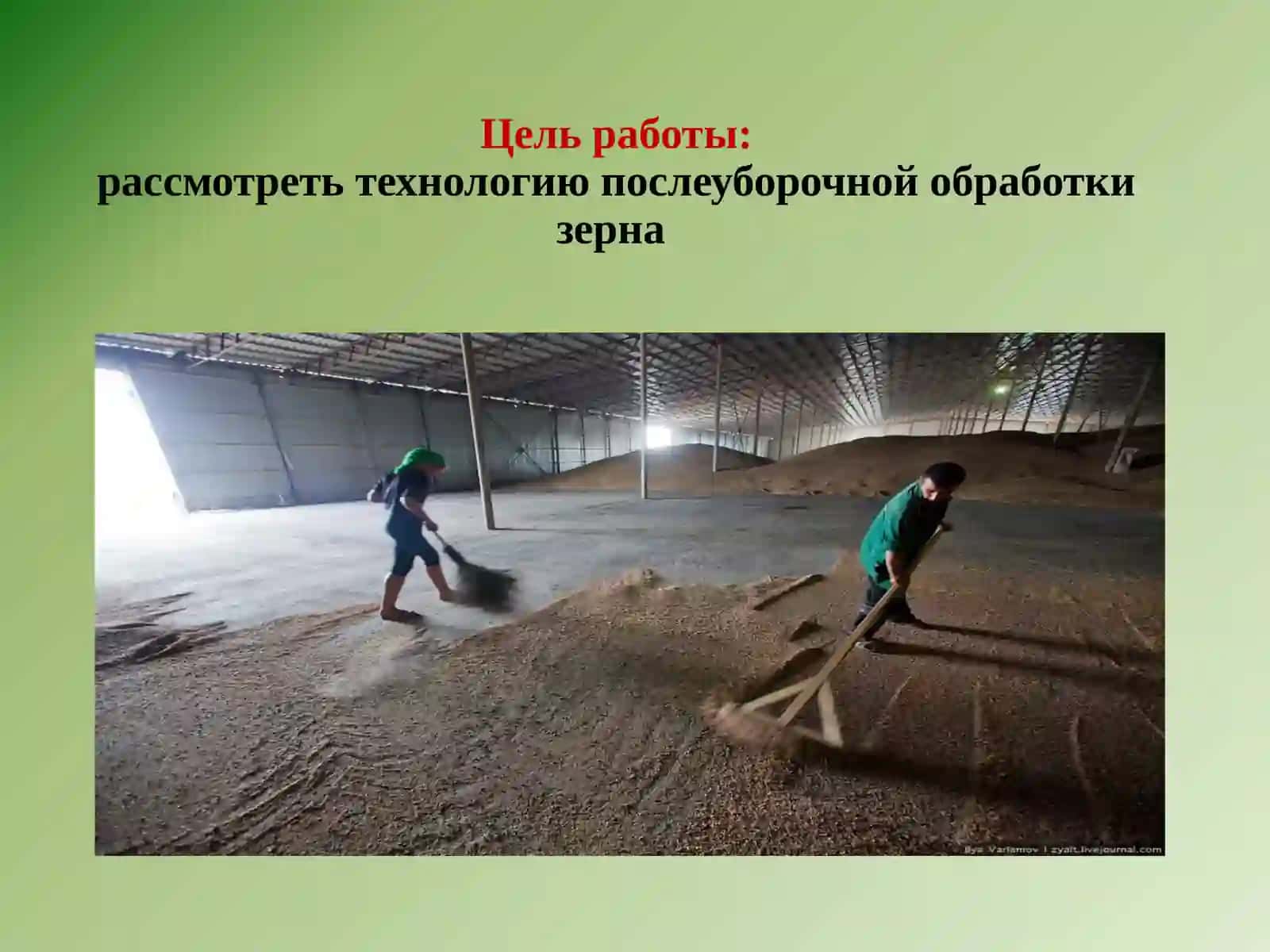 Технология послеуборочной обработки зерна 2