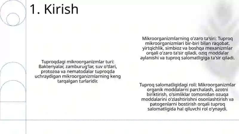 Tuproq Muhitining Mikroorganizmlari 2