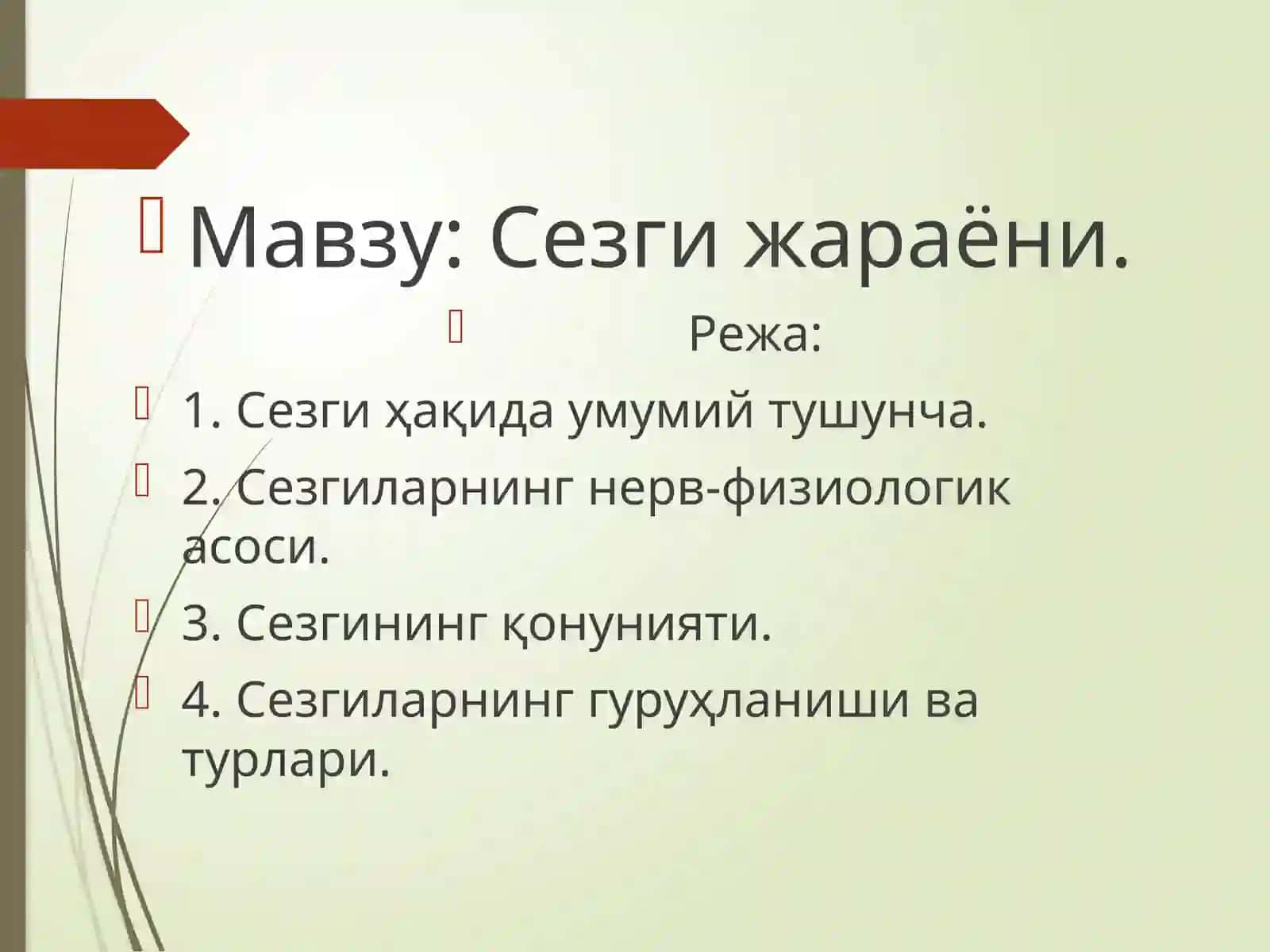 Нимага ва нима учун усулини “ Сезги “ мавзусида қўллаш 2