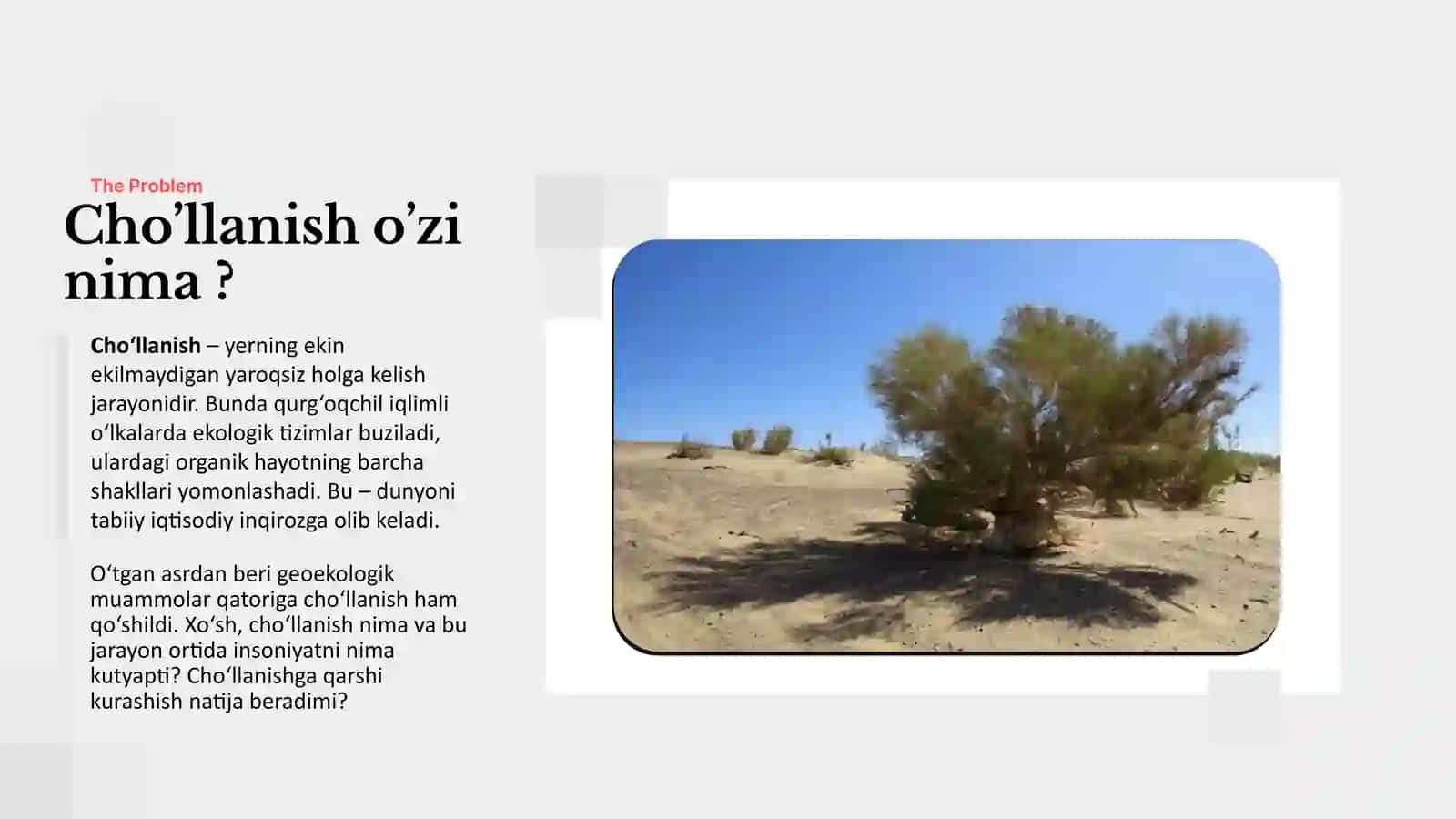 Cho'llanish jarayoni va unga qarshi kurash chora - tadbirlari 2