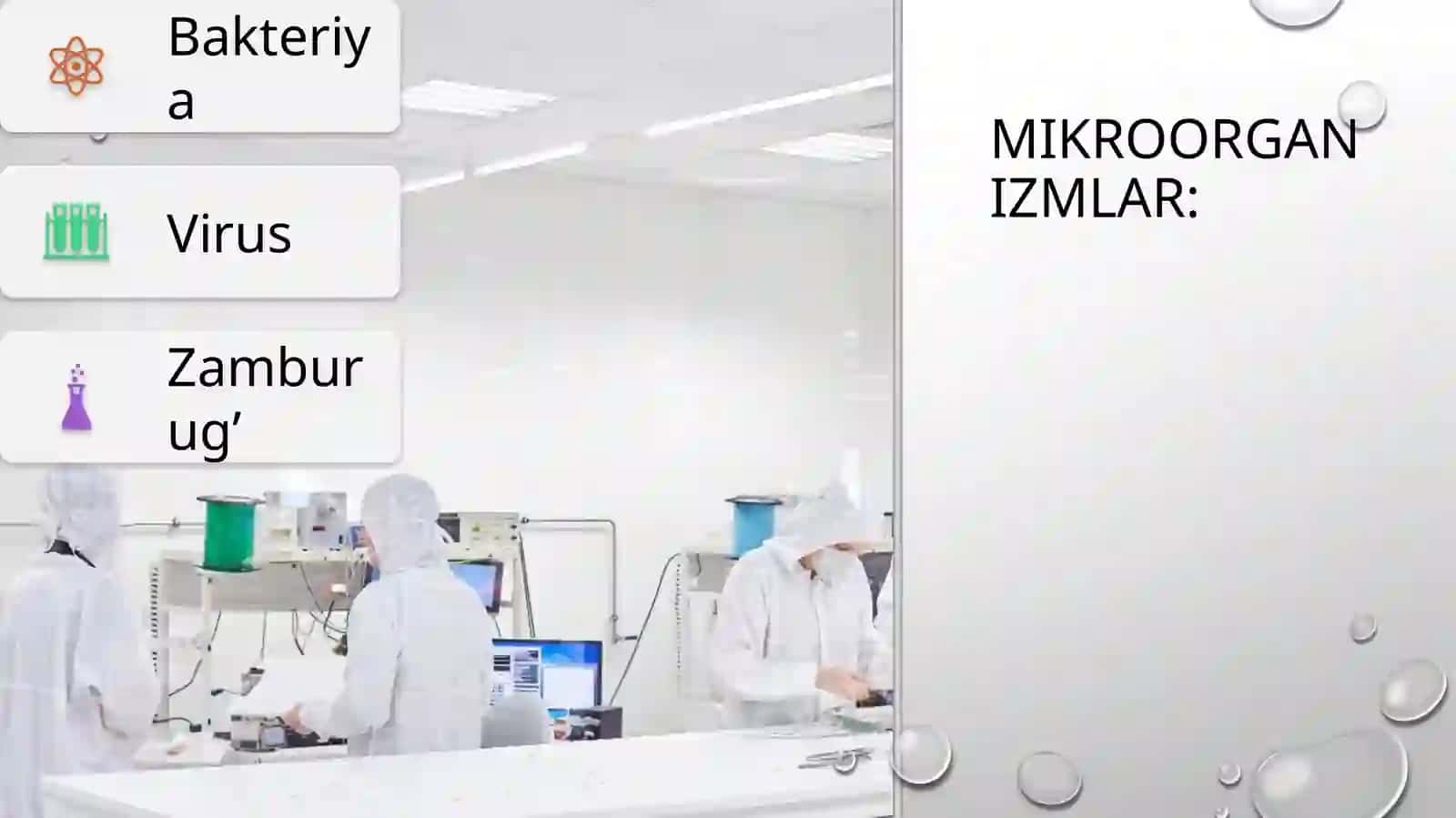 Mikroorganizmlar va mikrobiologiya 2