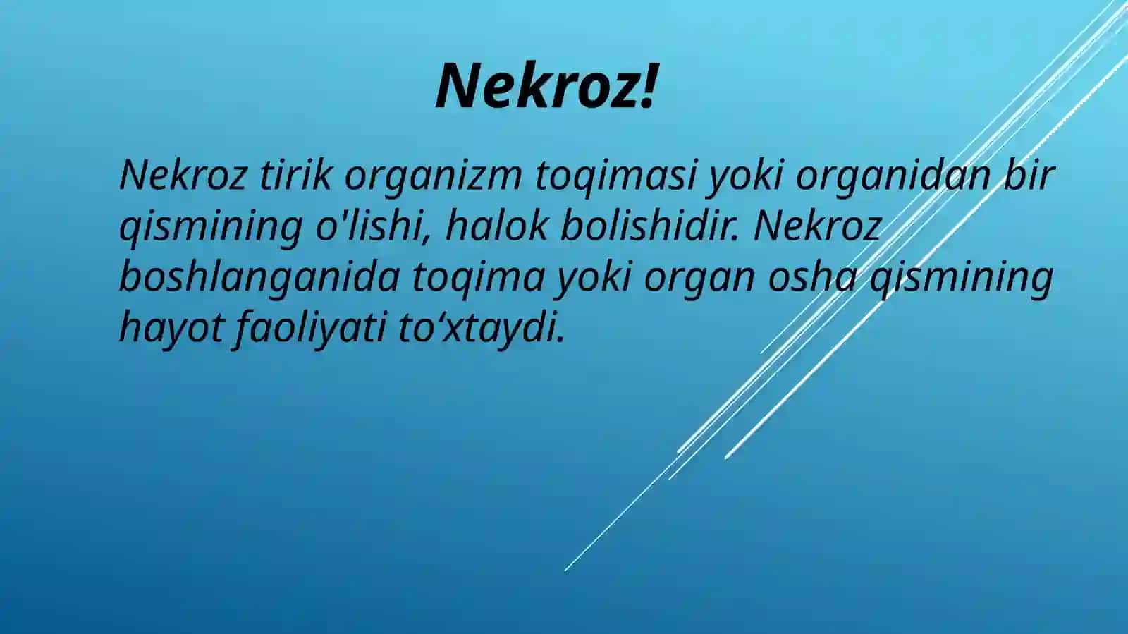 NEkROZ 2