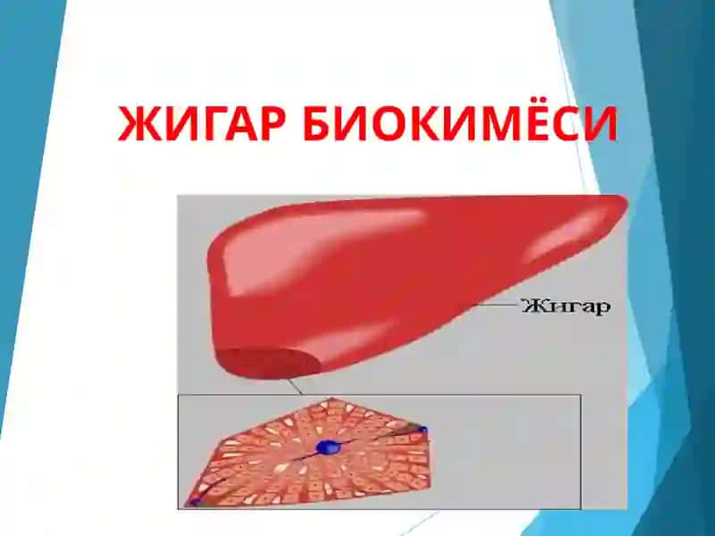 ЖИГАР БИОКИМЁСИ 2