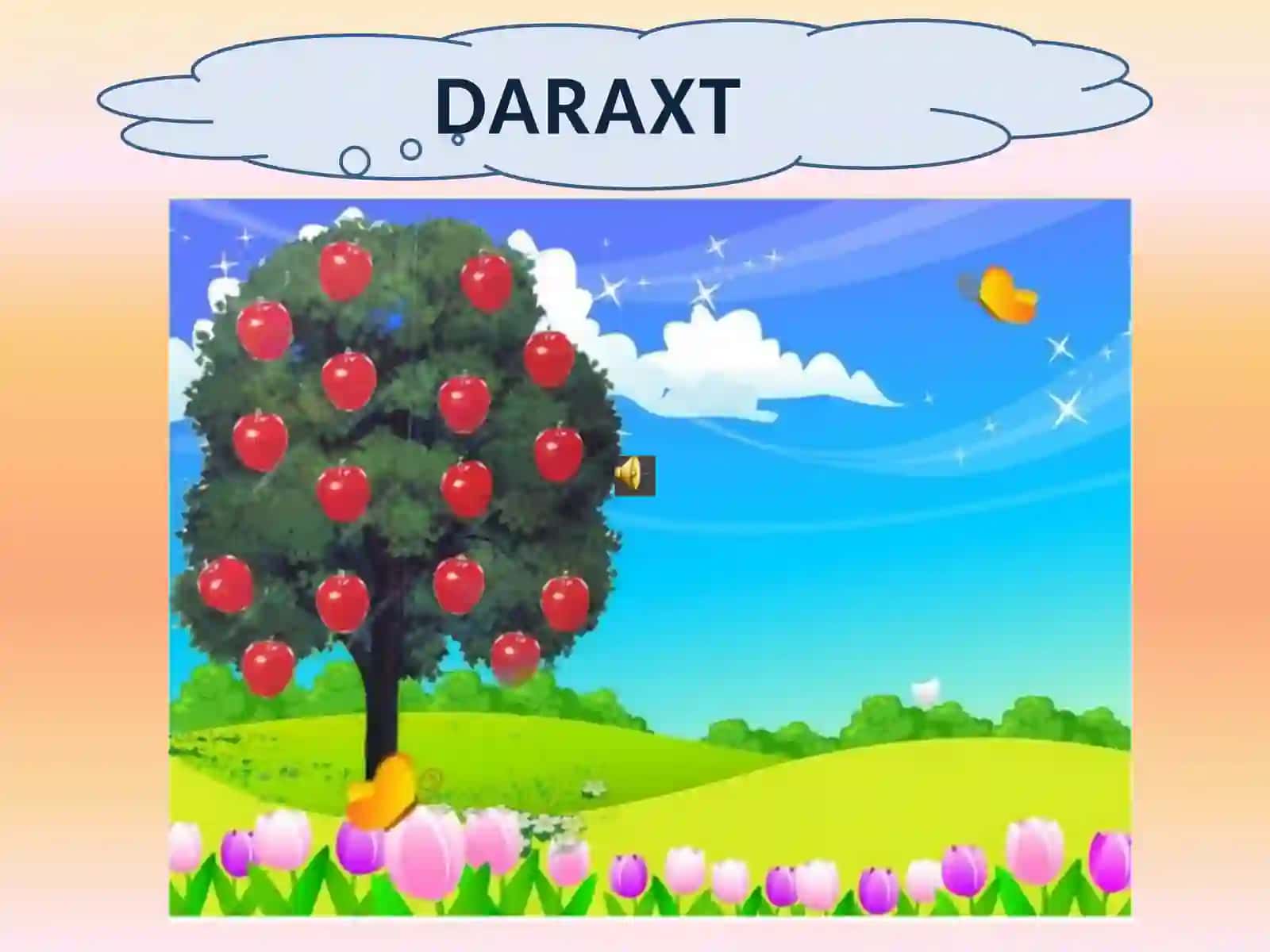 O`lkamizda bahor 2