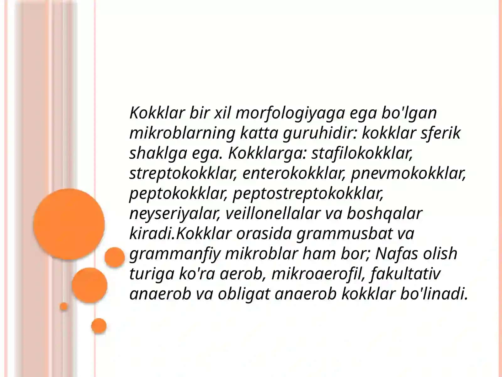 Shartli patogen anaerob kokklarni (peptokokklar, peptostreptokokklar, veylonellalar) 2