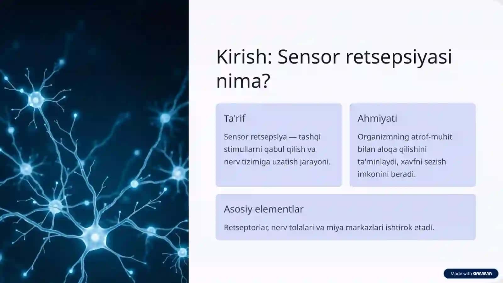 Organizmning sensor retsepsiyasi va teri analizatori lokolizatsiyani aniqlash 2