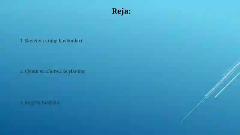 Skelet va uning boylamlari 2