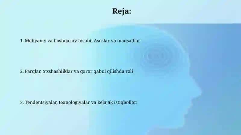 Buxgalteriya audit hisobi 2