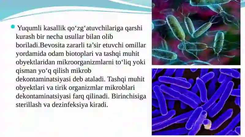 Biologikashyoni bakterial kontaminatsiyasini biokimyoviy usulda aniqlash 2