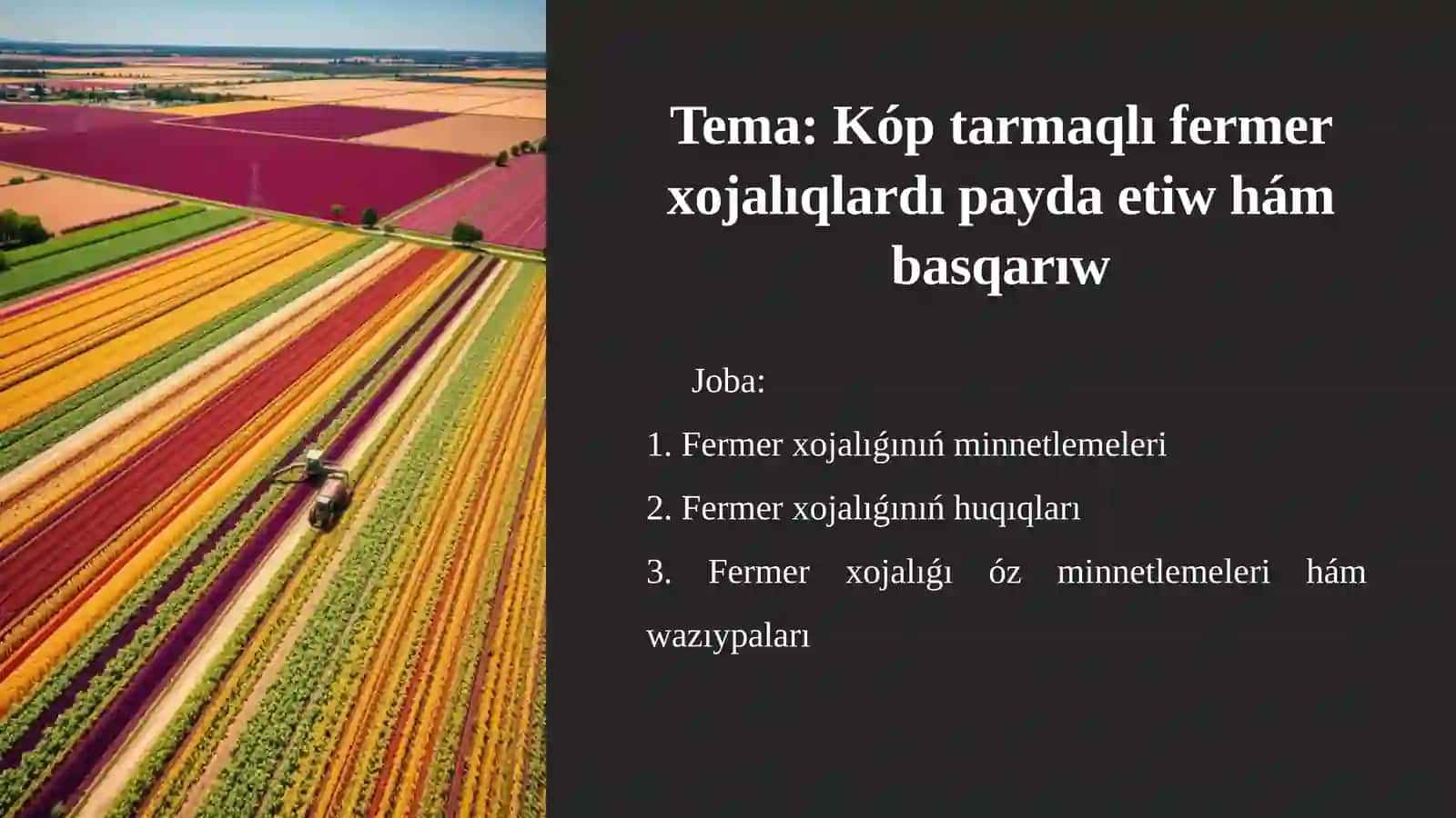 Kóp tarmaqlı fermer xojalıqlardı payda etiw hám basqarıw 2