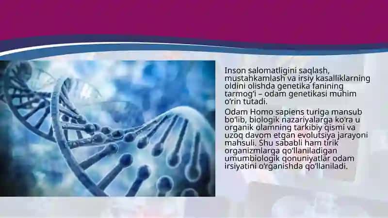 Genetika 2