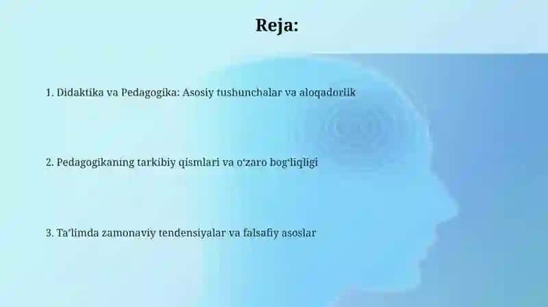 Didaktika pedagogika taʼlim nazariyasi 2