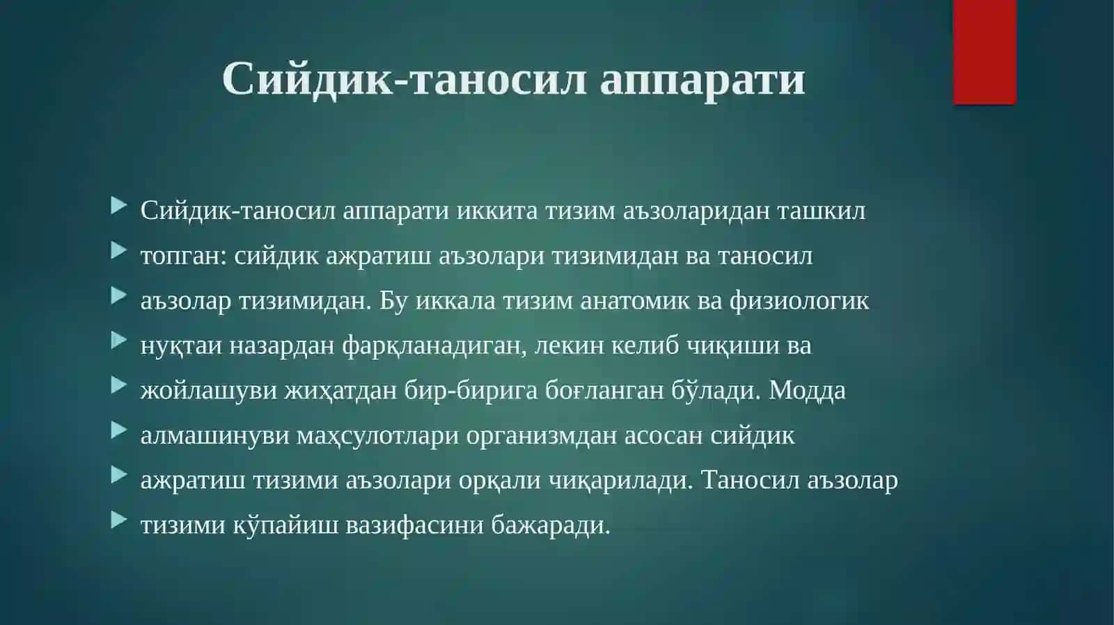 АЙИРУВ СИСТЕМАСИ ТУЗИЛИШИ ВА ФУНКЦИЯСИ 2
