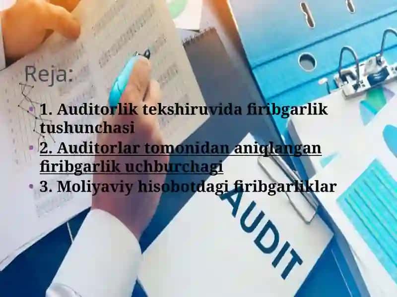 Auditorliktekshiruvidafiribgarliknianiqlash 2