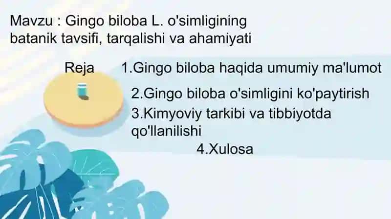 Gingobiloba 2