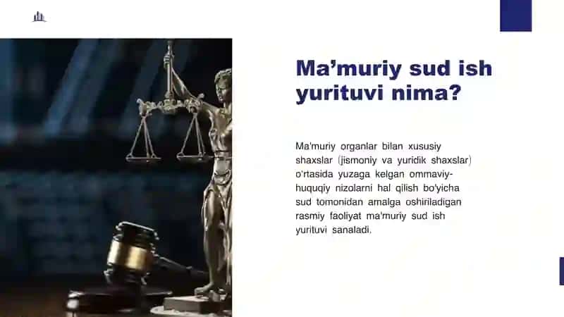 Ma'muriy sud ish yurituvi 2