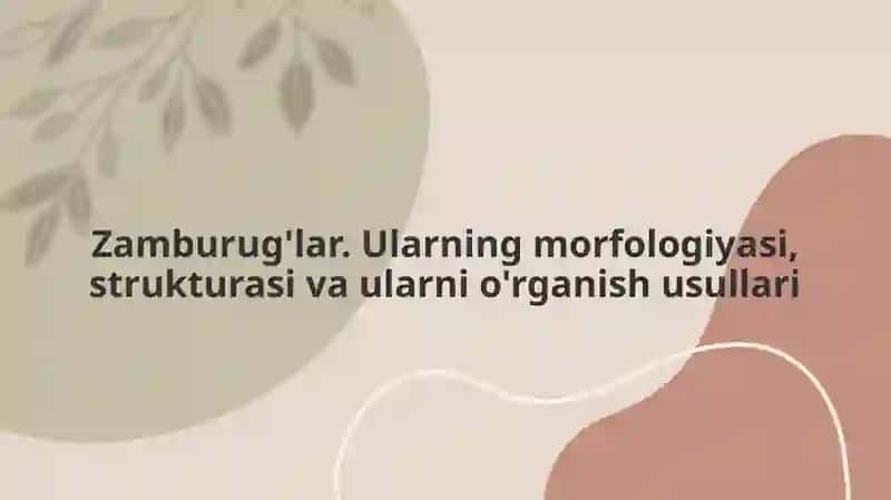 Zamburug'lar. Ularning morfologiyasi, strukturasi va ularni o'rganish usullari 2