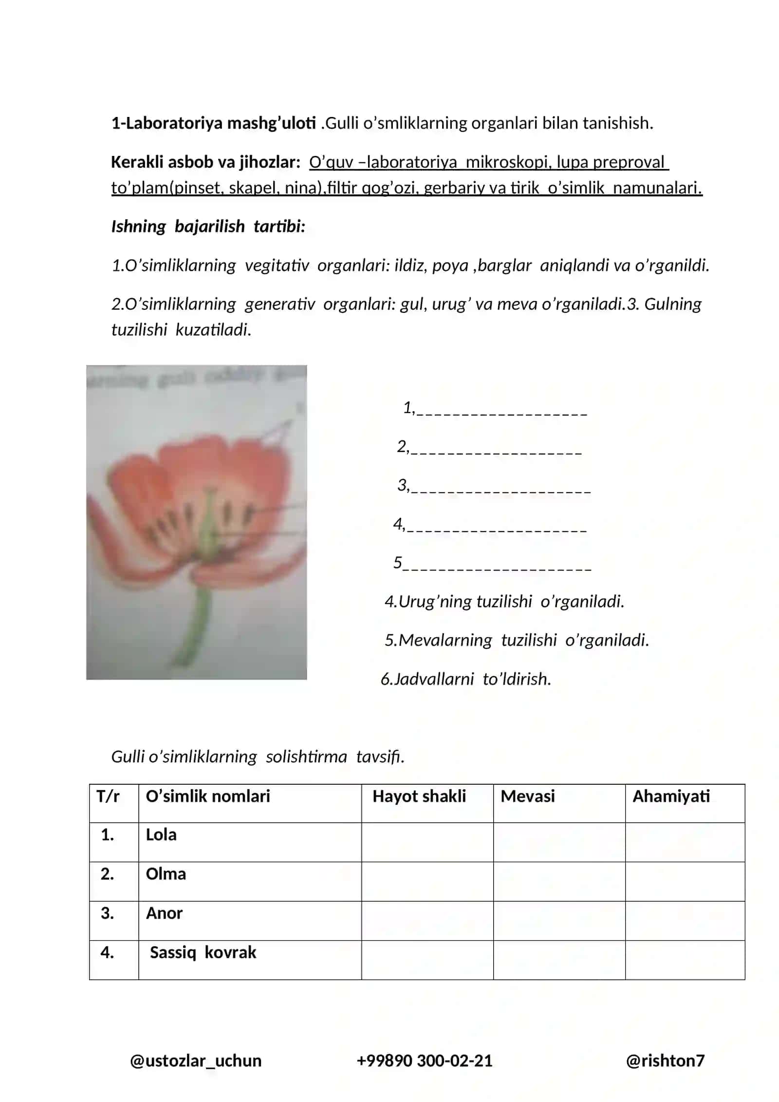 5-sinf Botanika fanidan labaratoriya daftari 2