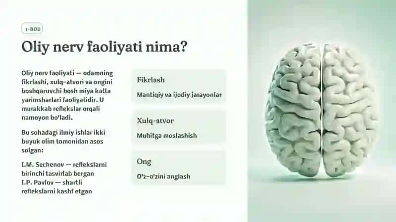 Oliy nerv faoliyati, shartli va shartsiz reflekslar 2
