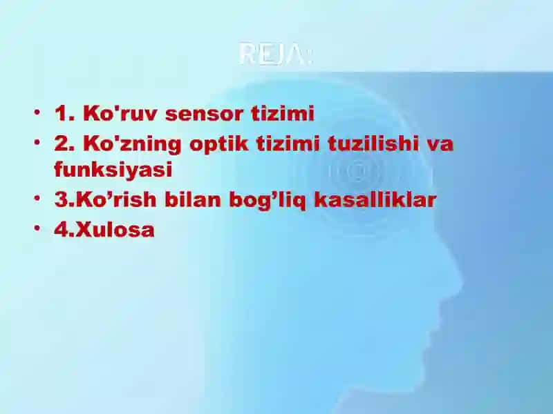 Ko‘ruv analizatorlari 2