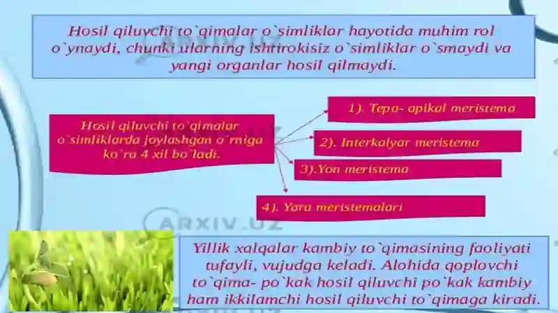 To‘qimalar haqida umumiy ma’lumot 2