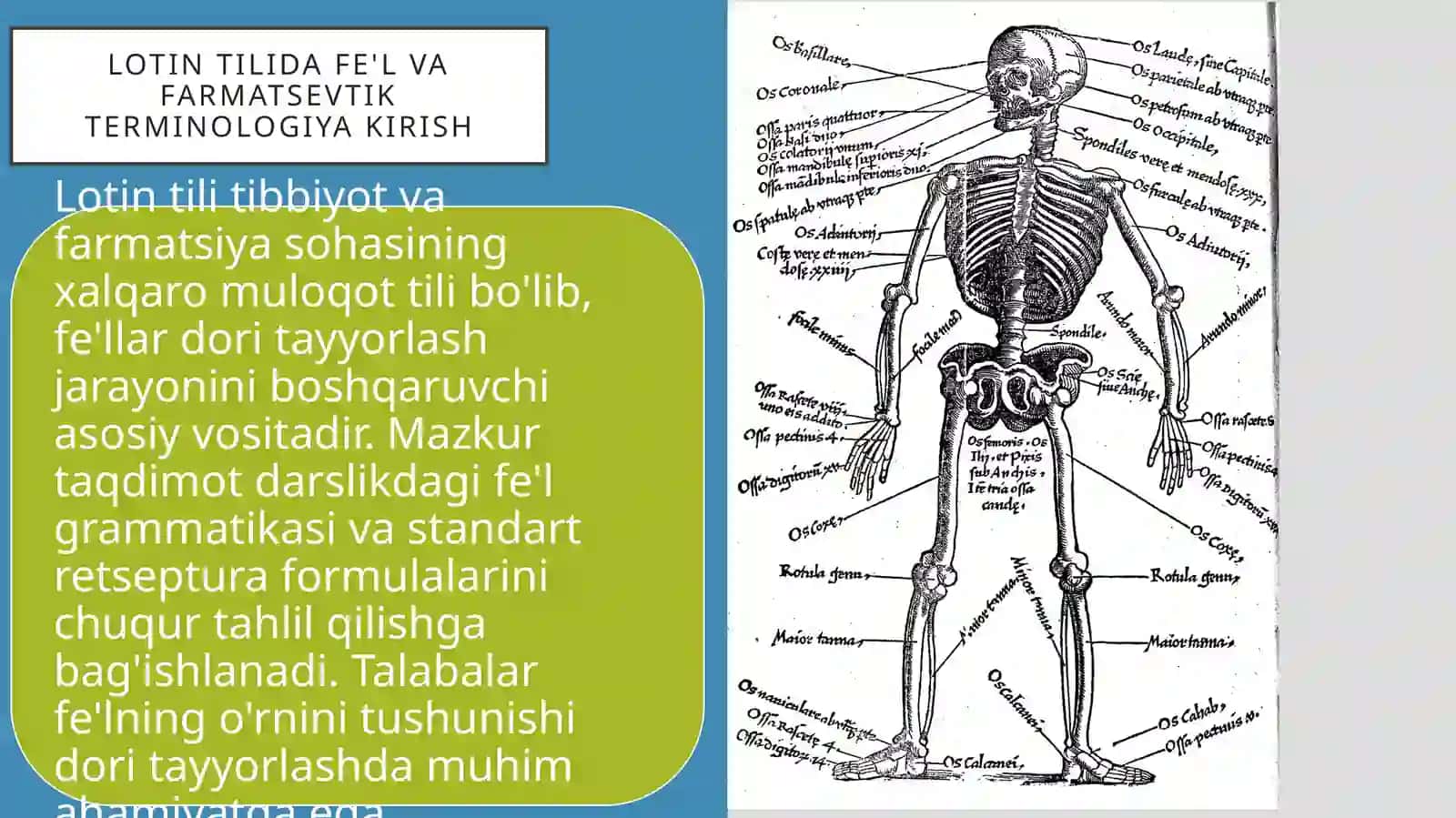 Lotin tilida fe'l va farmatsevtik terminologiya kirish 2