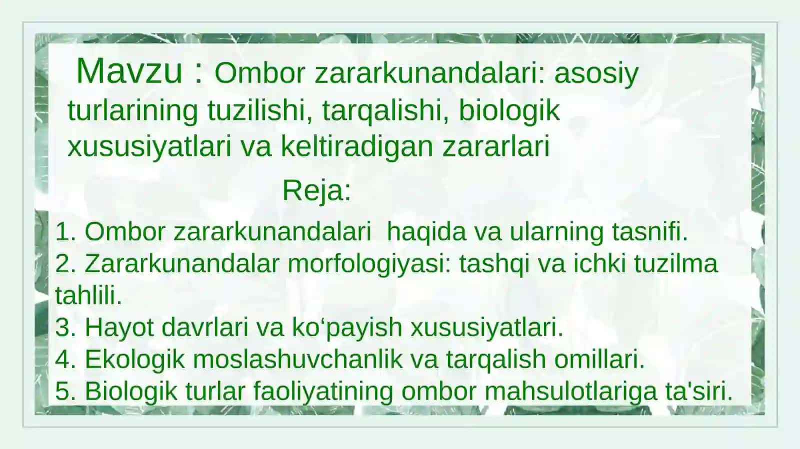 Ombor zarar kunandalari: asosiy turlarining tuzilishi, tarqalishi, biologik xususiyatlari va keltiradigan zararlari 2