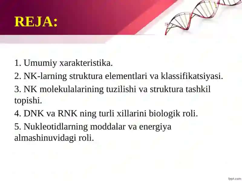 Nuklein kislotalar: tuzilishi, xossalari va biologik funksiyalari 2