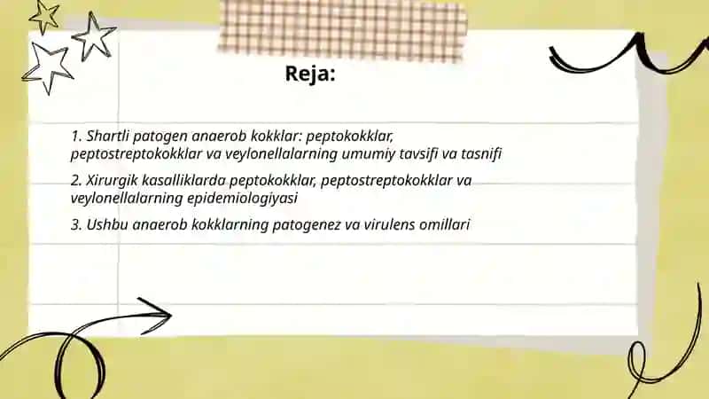 Shartli patogen anaerob kokklar (peptokokklar, peptostreptokokklar, veylonellalar) 2