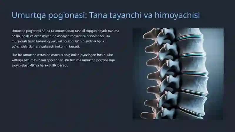 Umurtqa pog'onasi bo'g'imlari: Tuzilishi va Ahmiyati 2