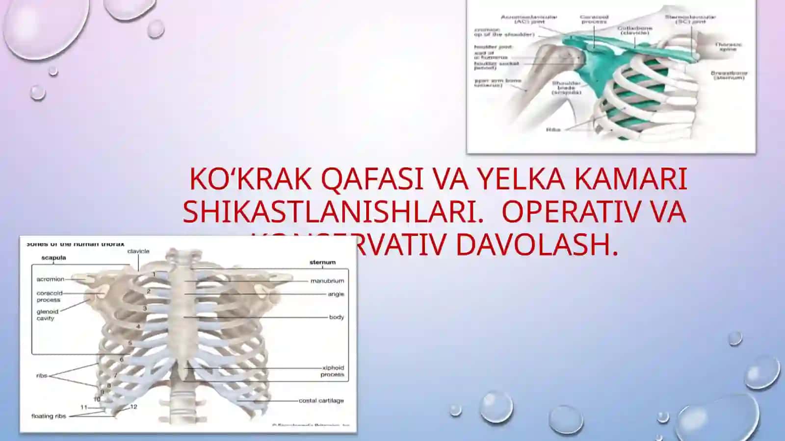 KO‘KRAK QAFASI VA YELKA KAMARI SHIKASTLANISHLARI 2