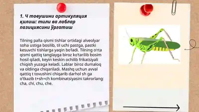 Заиф эшитувчи болаларда Ч товуши талаффузини мустахкамлаш 3