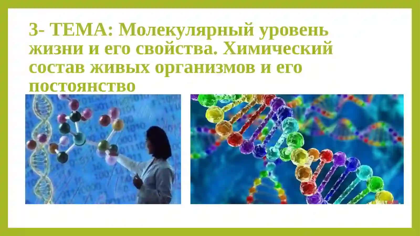 Молекулярный уровень жизни и его свойства. Химический состав живых организмов и его постоянство 3