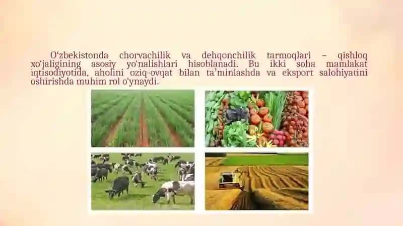 Oʻzbekiston dehqonchilik va chorvachilik tarmoqlari 3