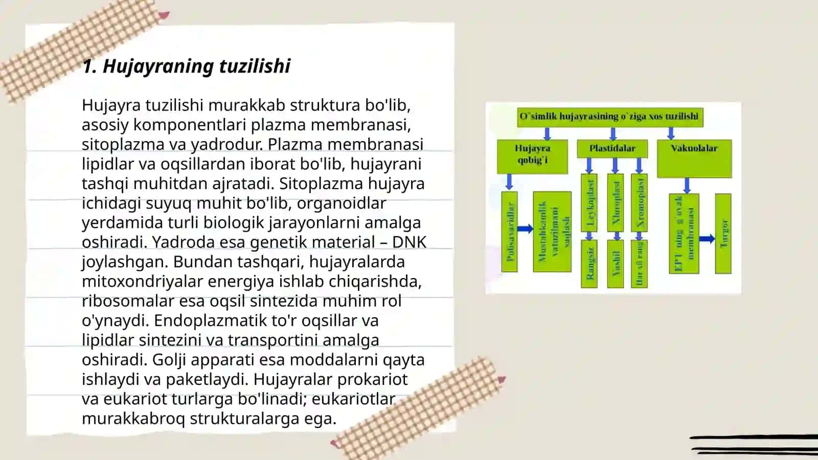 Hujayra biologiyasi 3