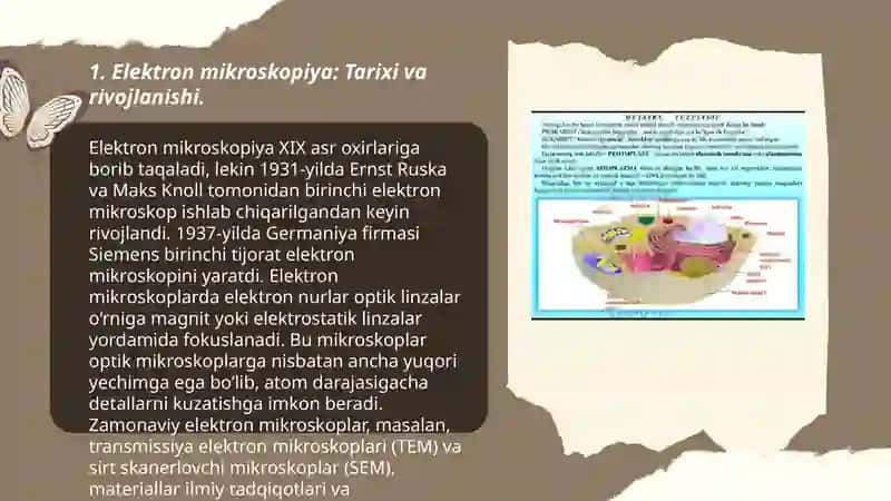 Elektron mikroskopiyaning tibbiyotdagi axamiyati 3