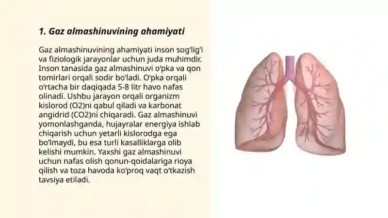 Òpkada gaz almashinuvining fizik va biologik mehanizmlar 3